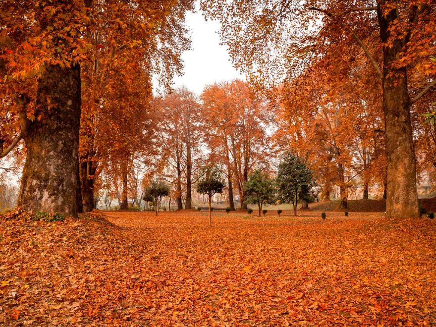 Kashmir’s Enchanted Valley Kashmir’s Enchanted Valley