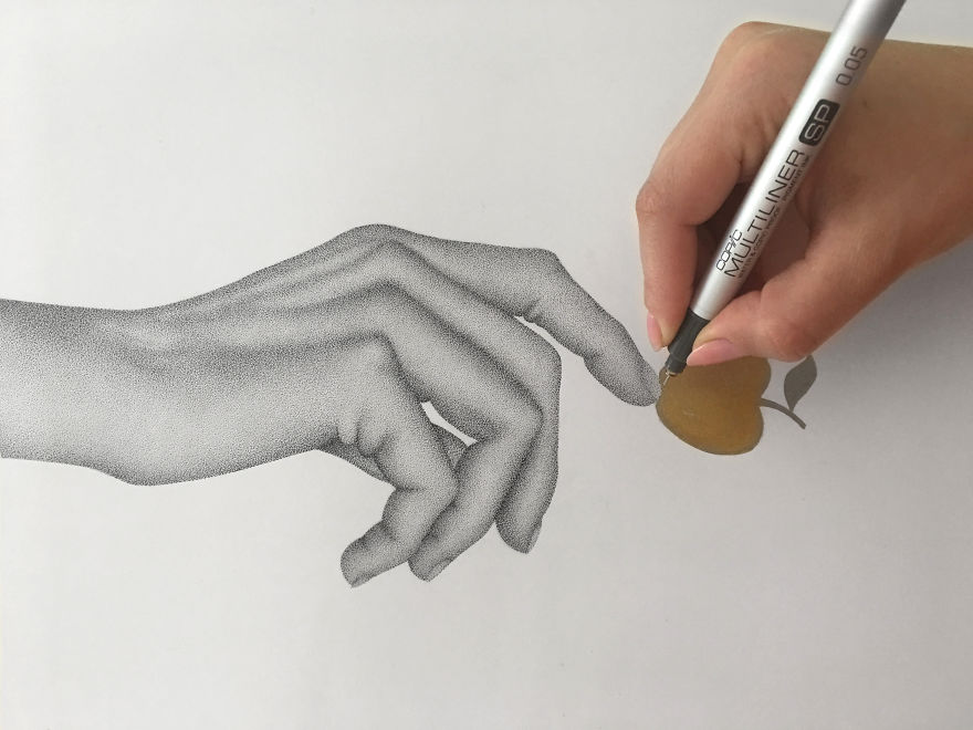 Life Size Stippling Of "Eden's Apple"