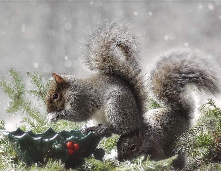 Nature Strike's A Pose