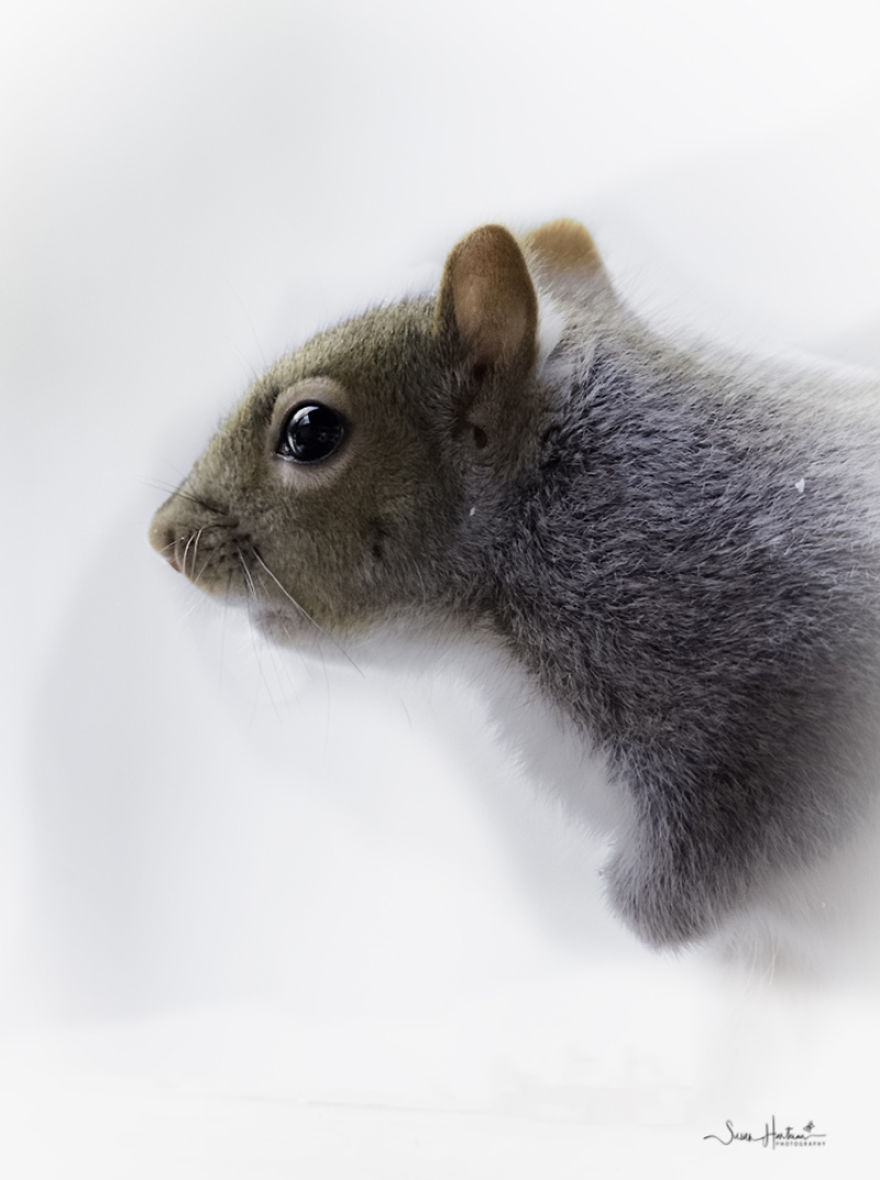 Nature Strike's A Pose