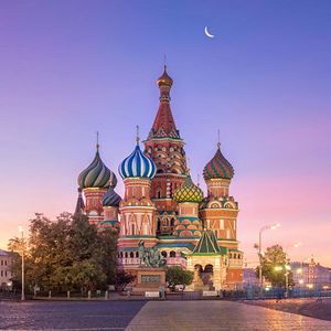 hangyal_david avatar