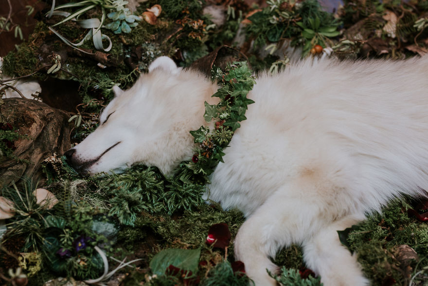 A Letter To My Puppy In Heaven A Letter To My Puppy In Heaven