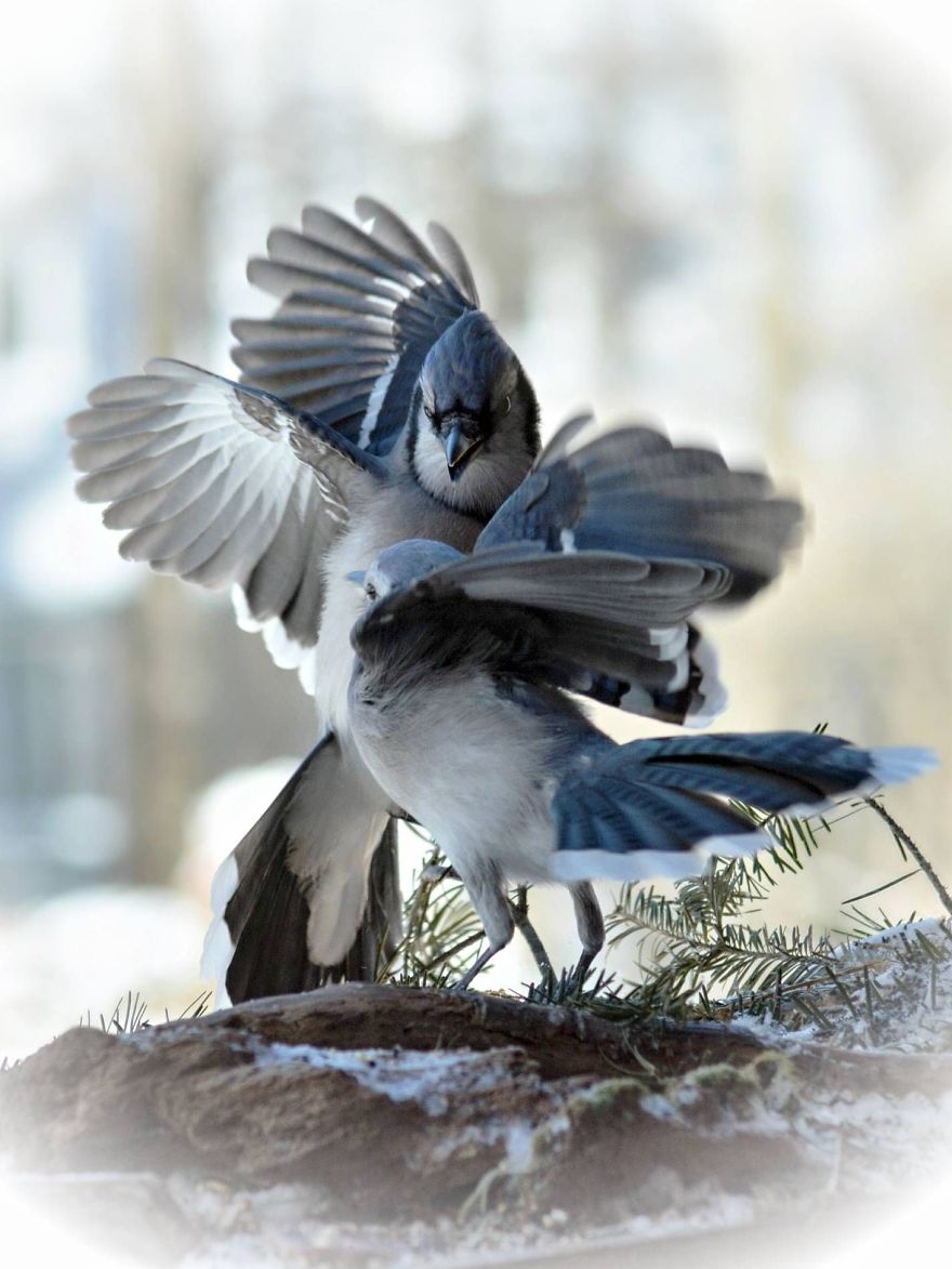 Nature Strike's A Pose