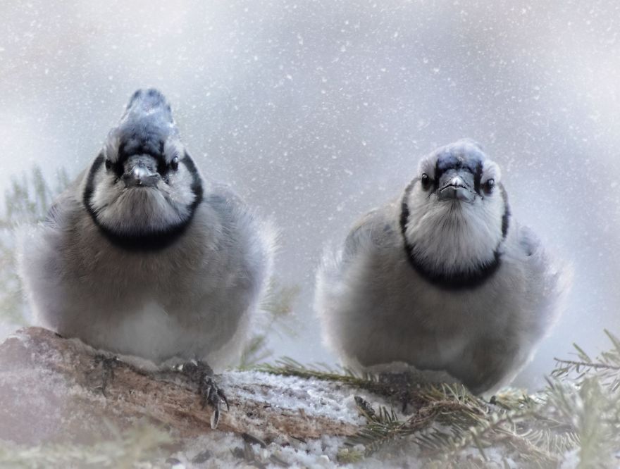 Nature Strike's A Pose