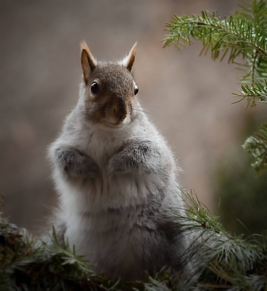 Nature Strike's A Pose