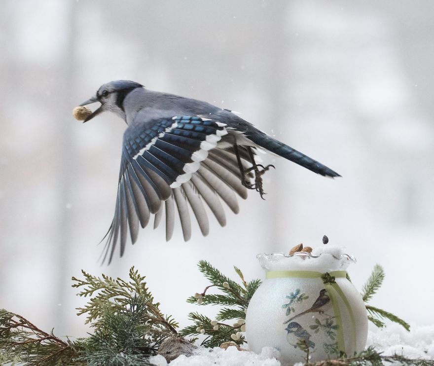 Nature Strike's A Pose