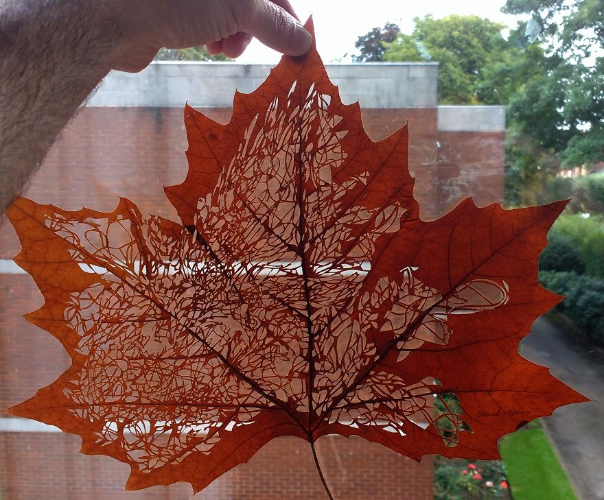 I Create Leaf Art By Carefully Cutting Intricate Scenes (New Pics) I Create Leaf Art By Carefully Cutting Intricate Scenes (New Pics)