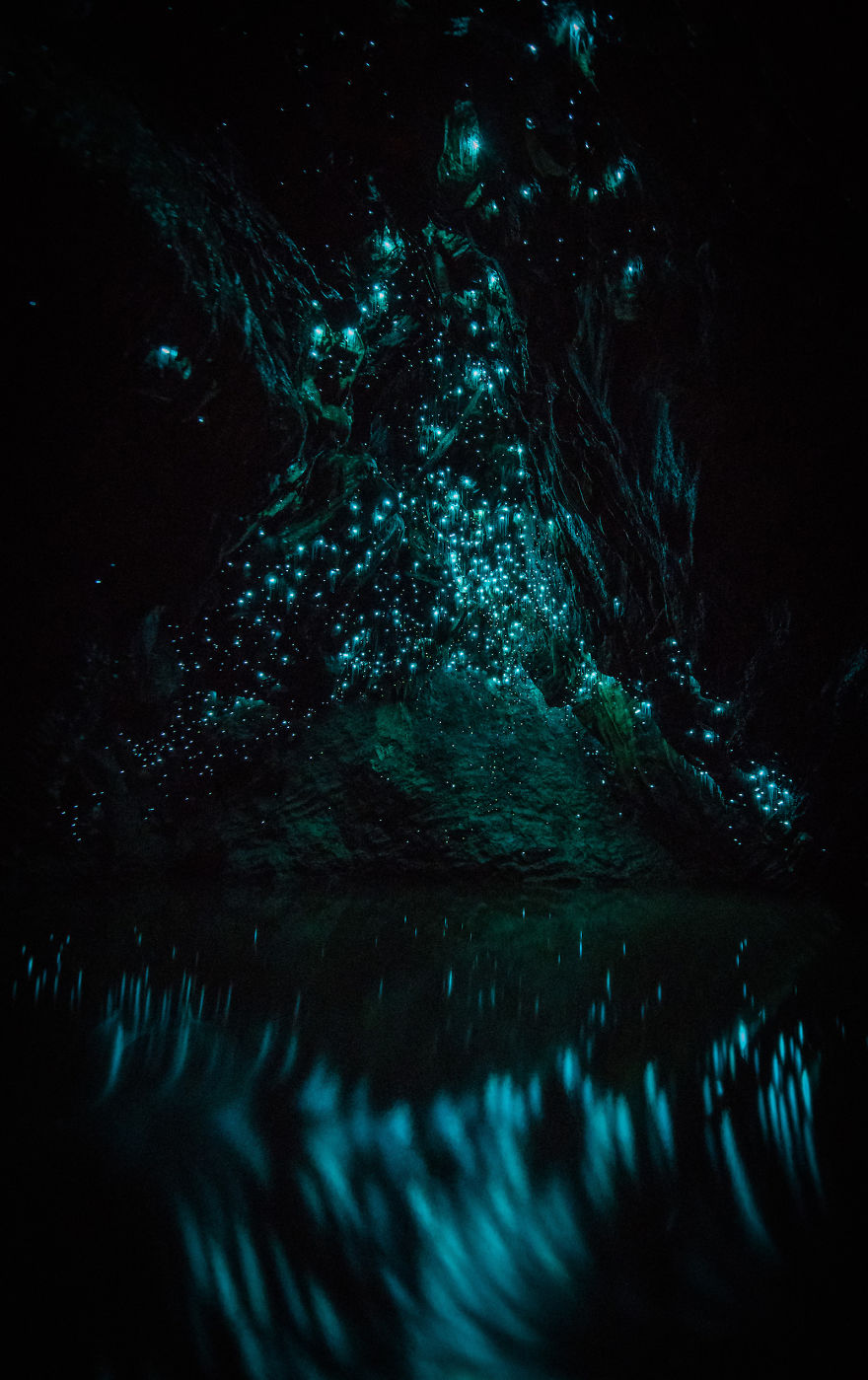 Glow Worms Turn New Zealand Cave Into Starry Night And I Spent Past Year Photographing It (Part 2)
