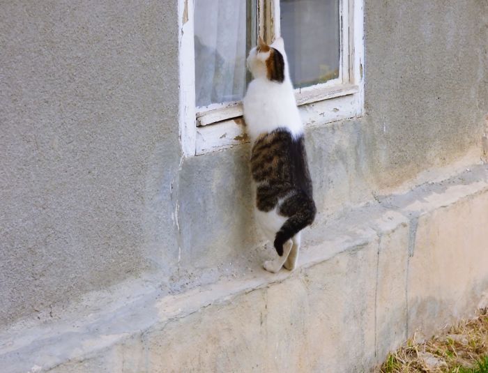 I Knew My Wife Is Having An Affair, But I Haven`t Had The Slightest Idea It Was With My Brother! They Are Inside In The Moment, Cuddling Up And I Am Spying Them Through The Window. I Wish It Has Never Happened …