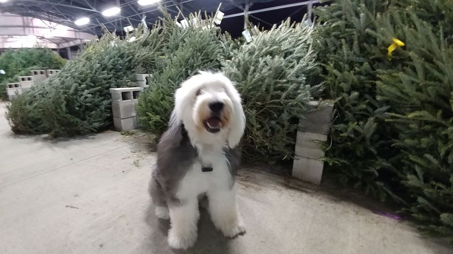 My Response To The Photographer Who Challenged Herself To Shoot In ‘Ugly’ Location My Response To The Photographer Who Challenged Herself To Shoot In ‘Ugly’ Location