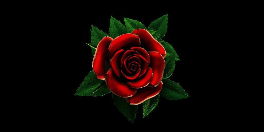 3D illustration of a traditional tattoo red rose on a black background.