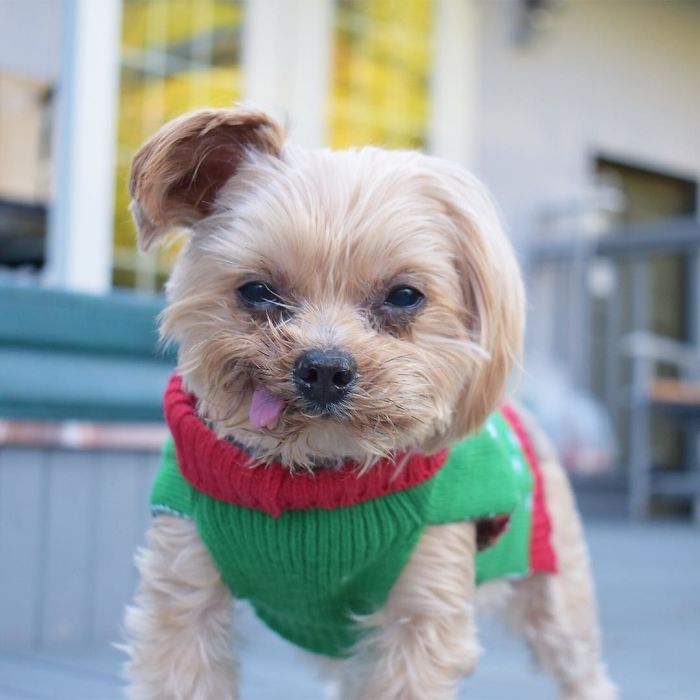 The Face You Do When You Show Up To Work And Find Out You Are The Only One Dressed Up For The Holidays...