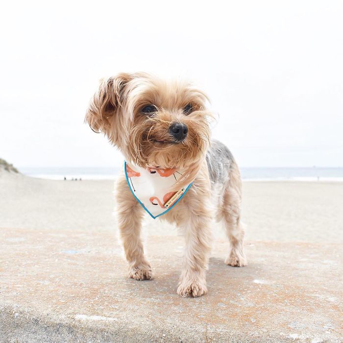 I'm Mad Because I Was Promised A Sunny Day At The Beach But Got A Cold Rainy Windy Sand-In-Places-You-Didn't-Know-Sand-Can-Get-Into Day