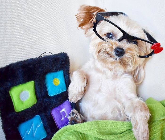 When You Partied A Little Too Hard The Night Before And Your Phone Is Blowing Up Because Your Friends Didn't Know Where You Were...