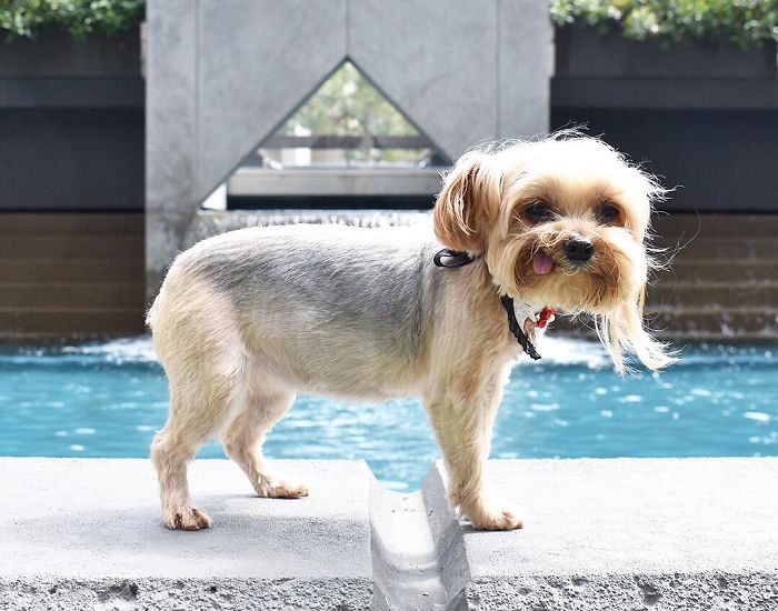 Heat Wave Is Making Me Want To Jump Into Every Public Fountain