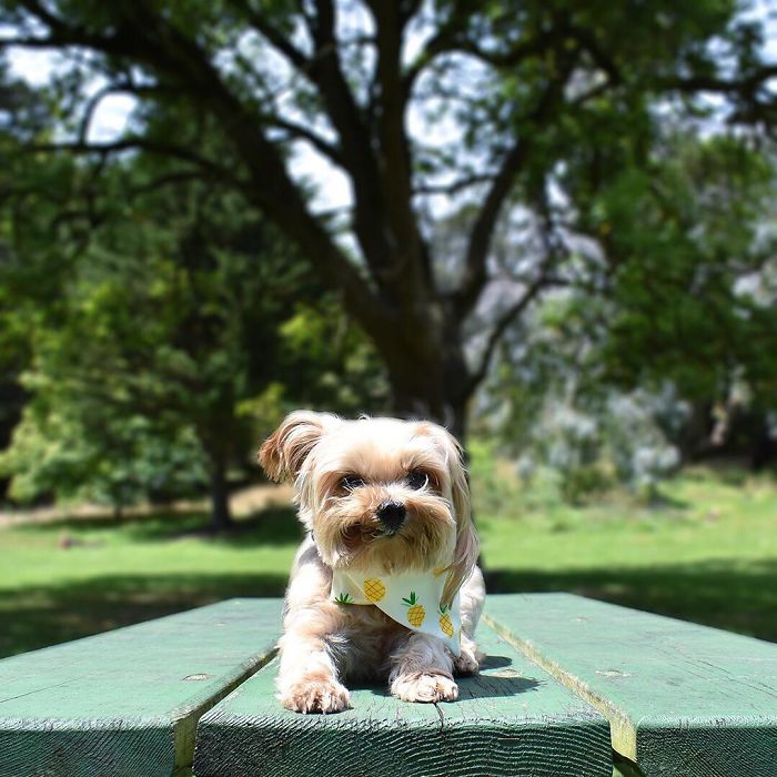 Waiting Patiently For The Weekend... Hurry Up