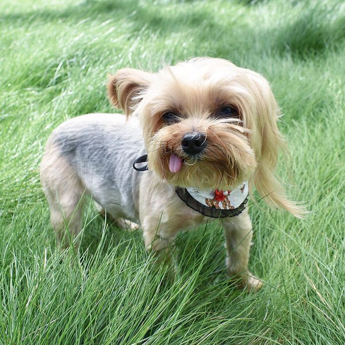 It's Always Tongue Out Tuesday Over Here