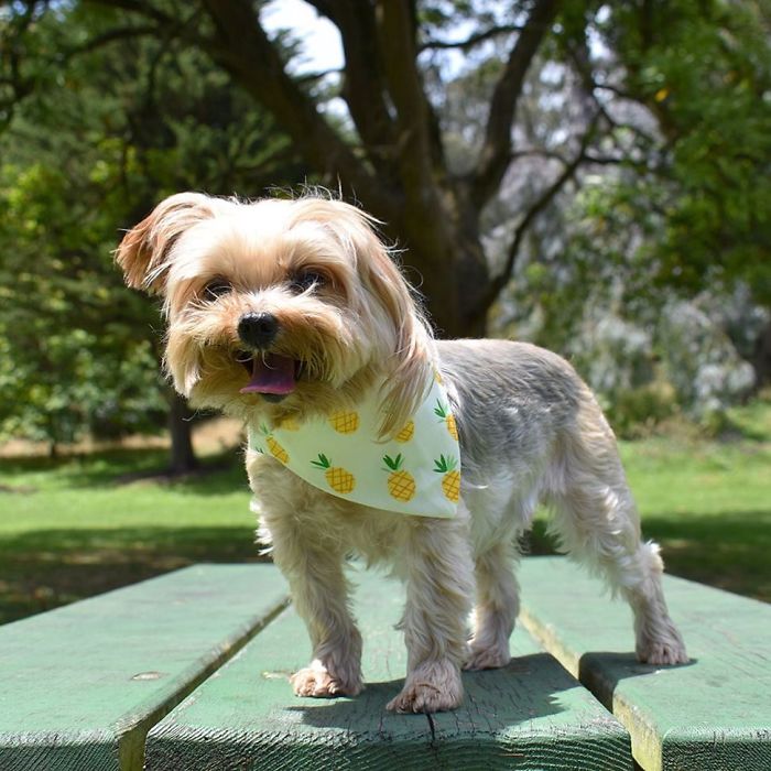 Girls Just Wanna Have Sun! 