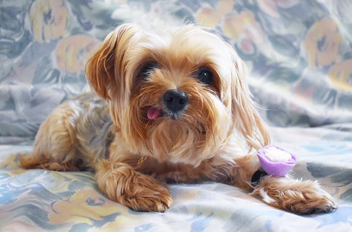 When You See A Cute Boy But All You Had Was An Accessory... So You Had To Improvise...