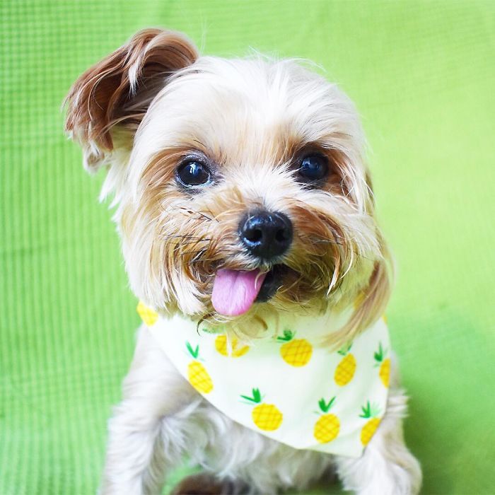 Sometimes You Just Have To Be Silly