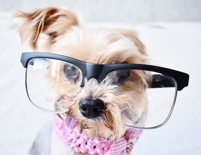 When I Bought Fake Glasses Because I Thought They Looked Cool... But Now I Used To To Hide The Bags Under My Eyes