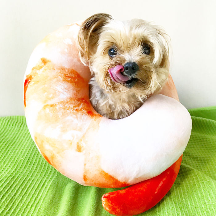 Should I Be A 🍤 Or 🥐 For Halloween? Still Deciding