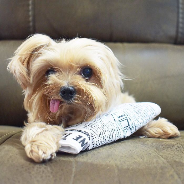 I Can’t Wait For All The Yummy Treats And Presents This Year!