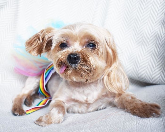 When You Wake Up Late So You Just Put On Yesterday’s Outfit... 