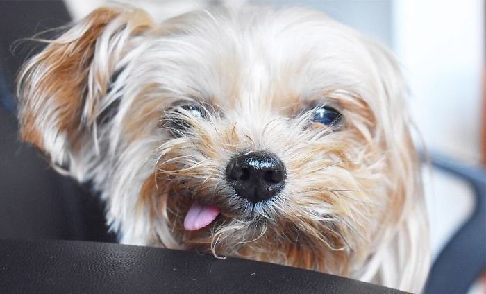 My Face When I Wake Up 20 Mins Before My Alarm Goes Off... Should I Go Back To Sleep Or Just Get Up Now?!