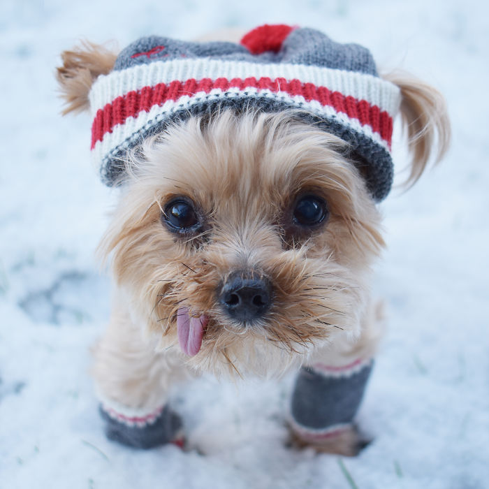 I Think My Tongue Is Frozen!