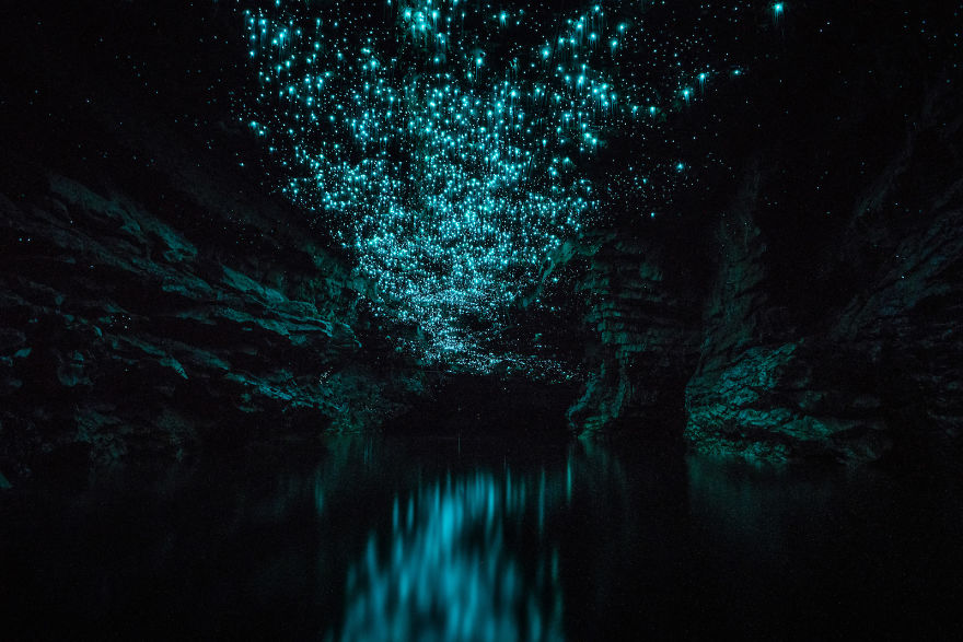 Glow Worms Turn New Zealand Cave Into Starry Night And I Spent Past Year Photographing It (Part 2)