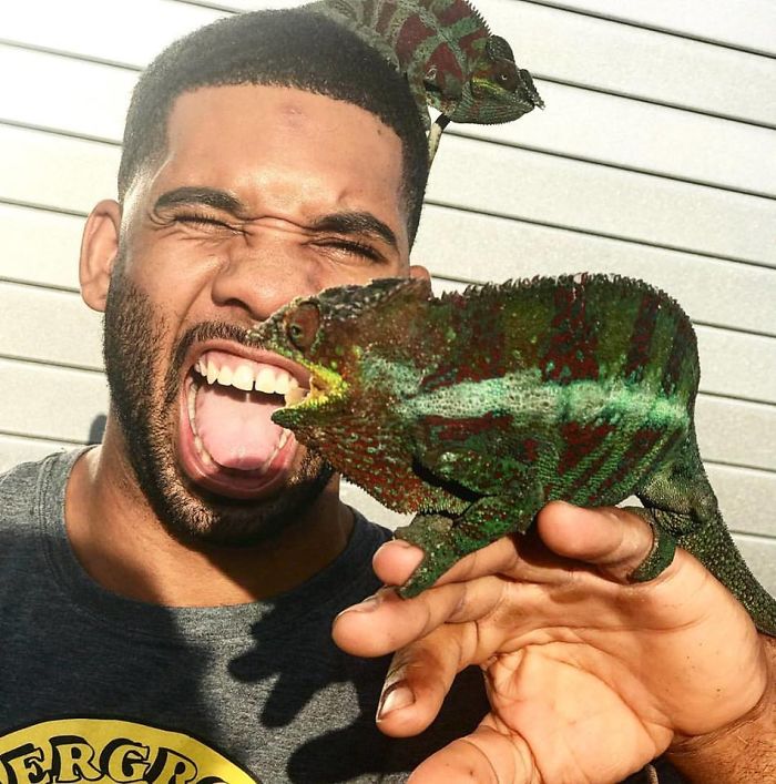 "The Real Tarzann" The Animal Friend Who Is Showing The Good Side Of The Internet