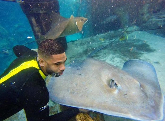 "The Real Tarzann" The Animal Friend Who Is Showing The Good Side Of The Internet