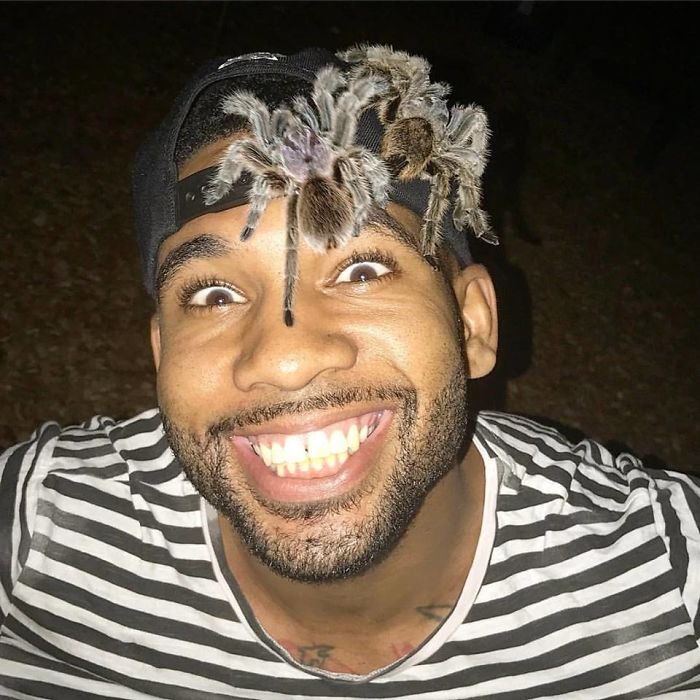 "The Real Tarzann" The Animal Friend Who Is Showing The Good Side Of The Internet