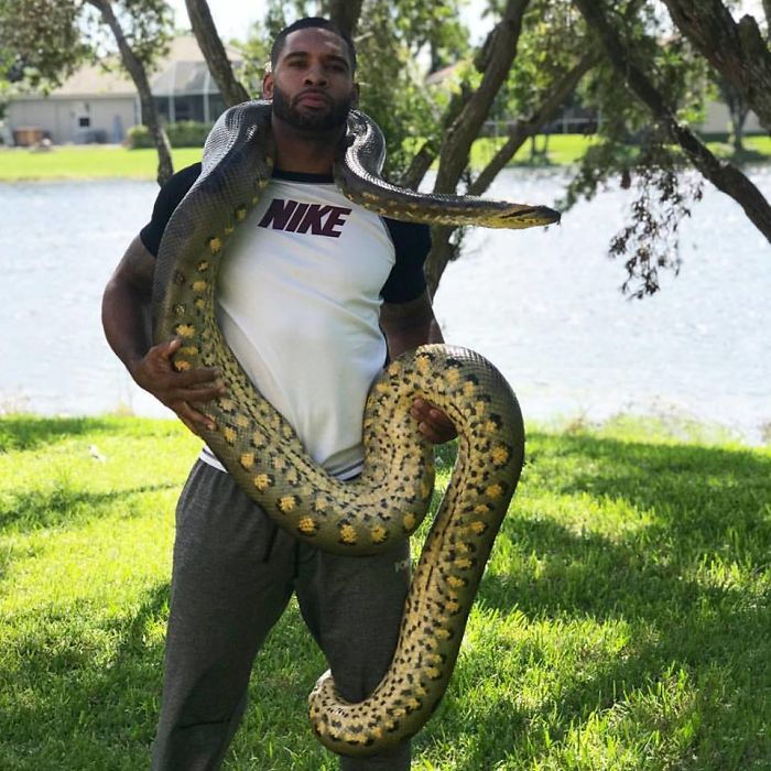 "The Real Tarzann" The Animal Friend Who Is Showing The Good Side Of The Internet