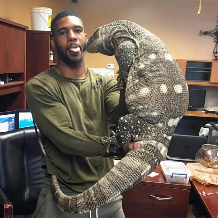 "The Real Tarzann" The Animal Friend Who Is Showing The Good Side Of The Internet