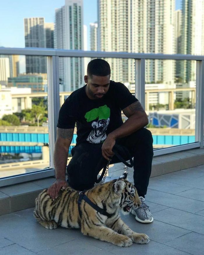 "The Real Tarzann" The Animal Friend Who Is Showing The Good Side Of The Internet