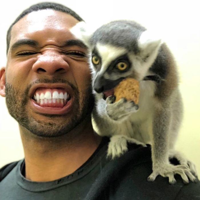 "The Real Tarzann" The Animal Friend Who Is Showing The Good Side Of The Internet