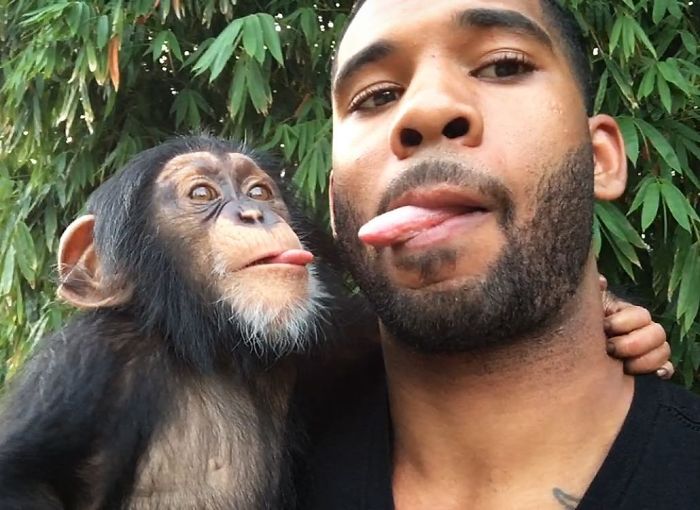 "The Real Tarzann" The Animal Friend Who Is Showing The Good Side Of The Internet