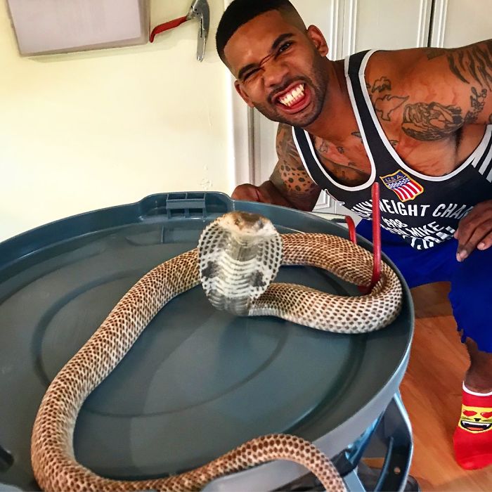 "The Real Tarzann" The Animal Friend Who Is Showing The Good Side Of The Internet