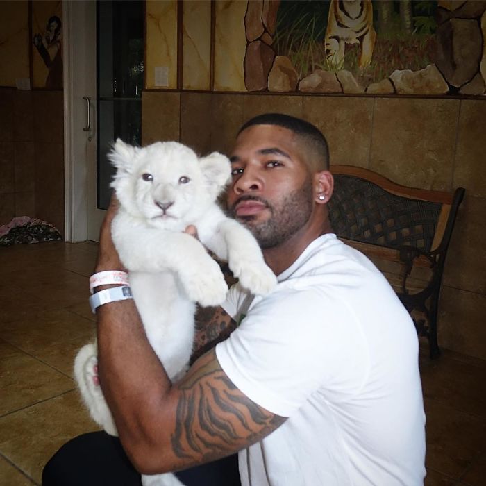 "The Real Tarzann" The Animal Friend Who Is Showing The Good Side Of The Internet