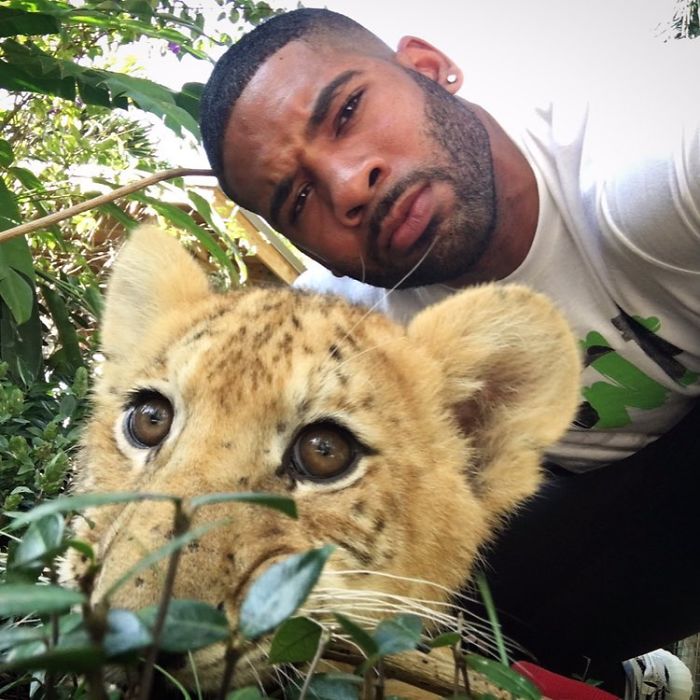 "The Real Tarzann" The Animal Friend Who Is Showing The Good Side Of The Internet