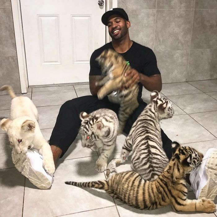 "The Real Tarzann" The Animal Friend Who Is Showing The Good Side Of The Internet