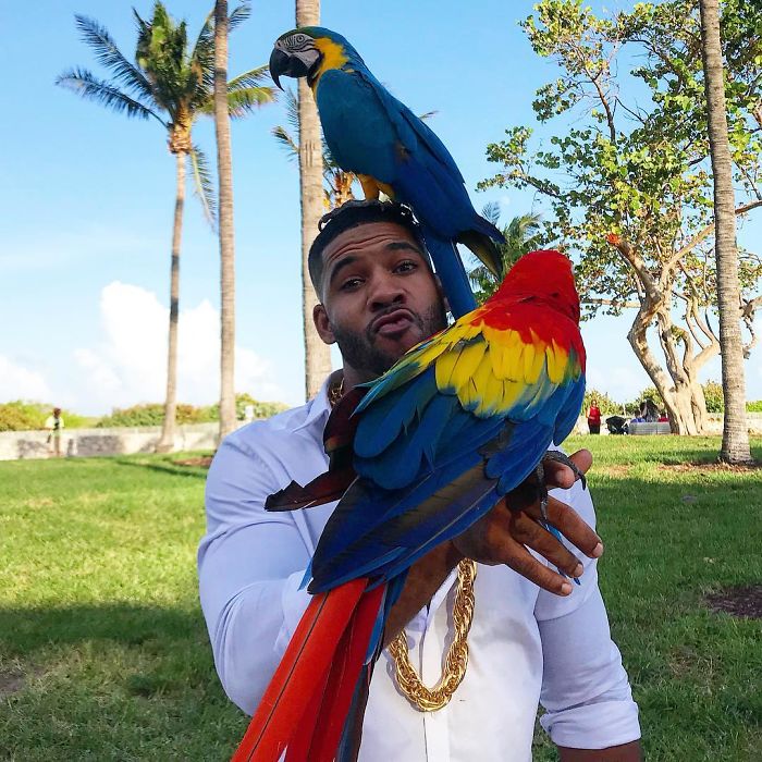 "The Real Tarzann" The Animal Friend Who Is Showing The Good Side Of The Internet