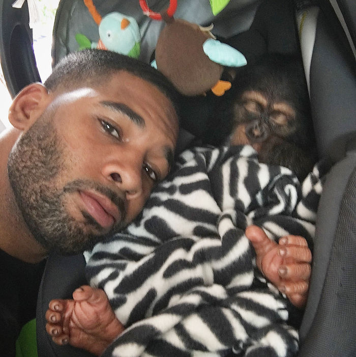 "The Real Tarzann" The Animal Friend Who Is Showing The Good Side Of The Internet