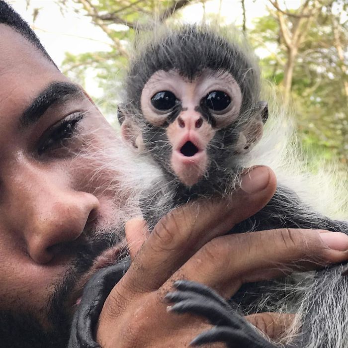 "The Real Tarzann" The Animal Friend Who Is Showing The Good Side Of The Internet