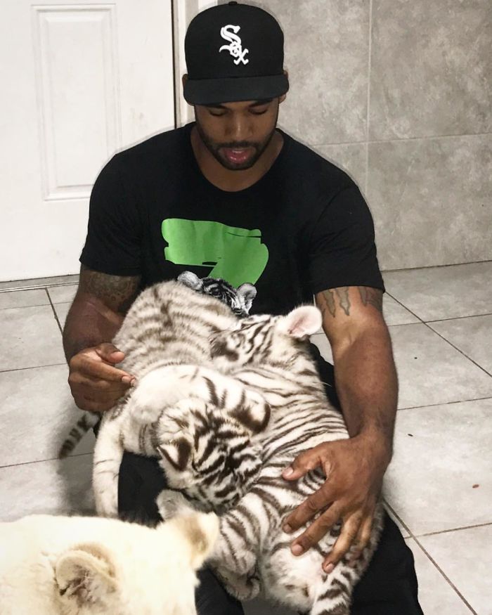 "The Real Tarzann" The Animal Friend Who Is Showing The Good Side Of The Internet