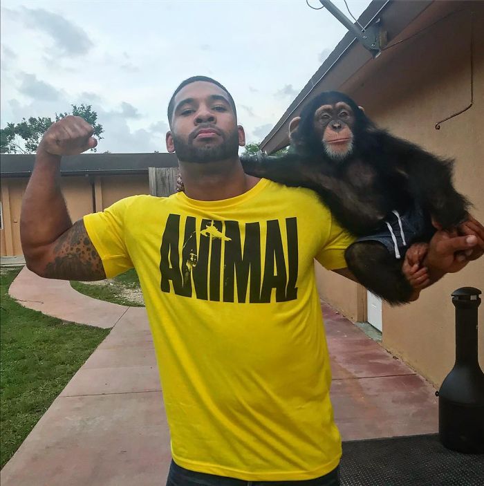 "The Real Tarzann" The Animal Friend Who Is Showing The Good Side Of The Internet