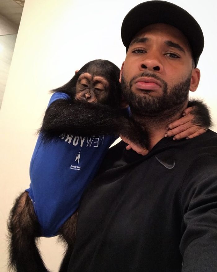 "The Real Tarzann" The Animal Friend Who Is Showing The Good Side Of The Internet