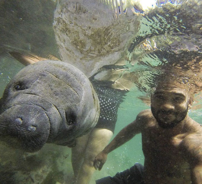 "The Real Tarzann" The Animal Friend Who Is Showing The Good Side Of The Internet